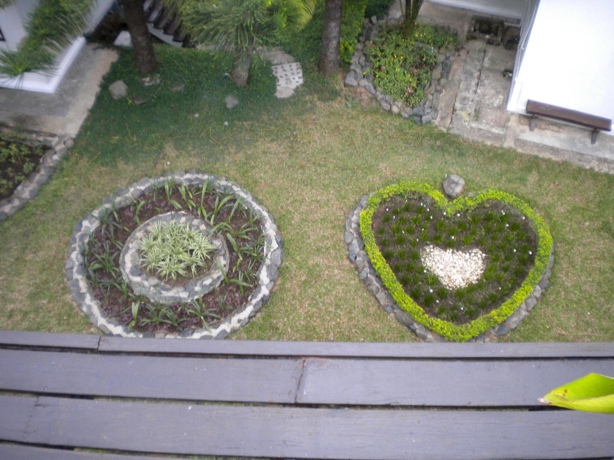 Kinabalu Pine Resort Kundasang Экстерьер фото